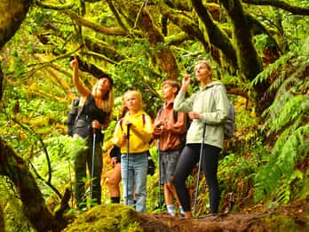 Tenerife: Ruta de senderismo por las montañas de Anaga y el Bosque Encantado
