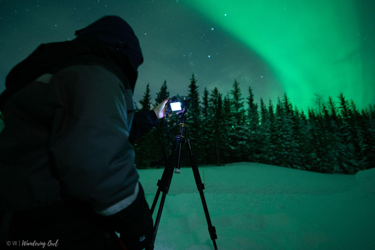 LEVI Adults Only Northern Lights Hunt (ALL INCLUDED) Adults Only Aurora Hunt in the Finnish wilderness