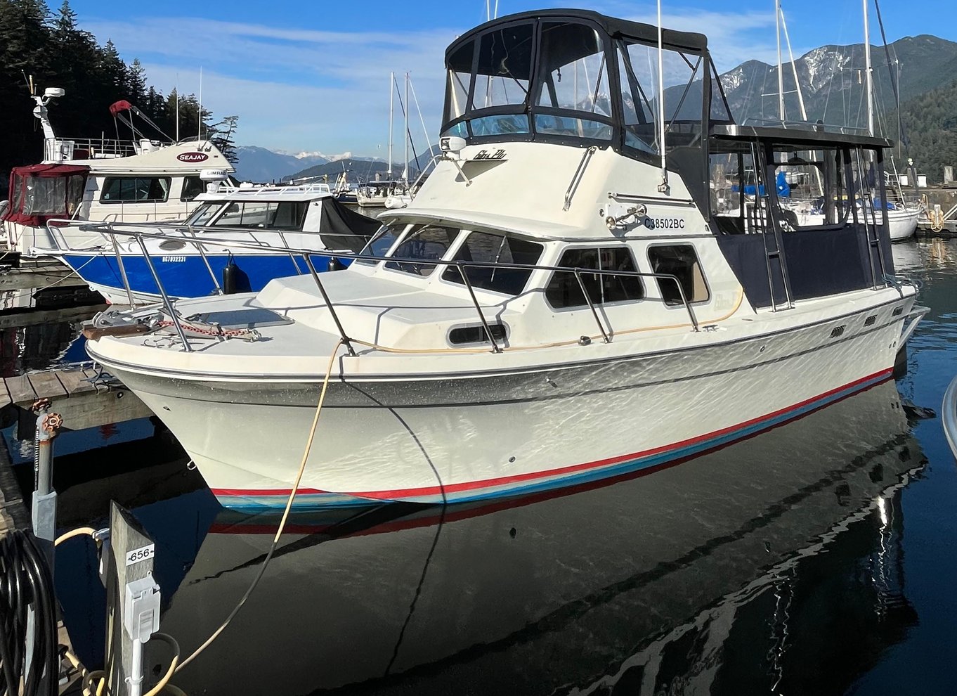 Vancouver: Snorkling, sæler, kajak, naturskøn bådtur