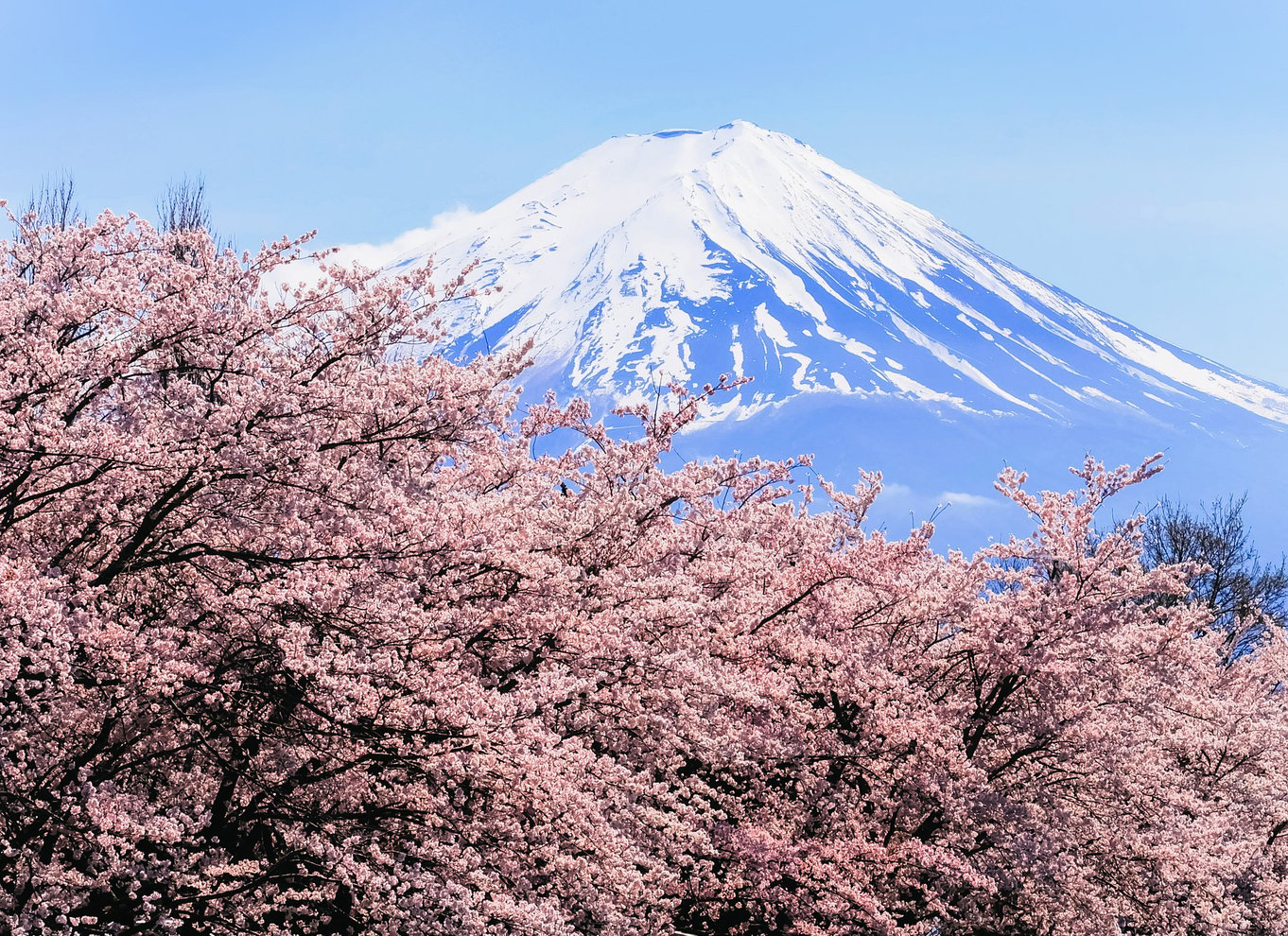 Tokyo: Fuji-bjerget, Hakone, krydstogt ved Ashi-søen og Bullet Train