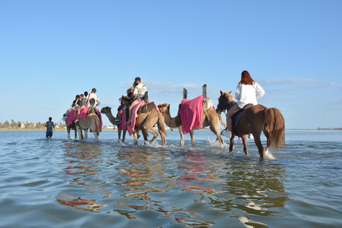 Djerba One Day Package : horse, Camel and quad