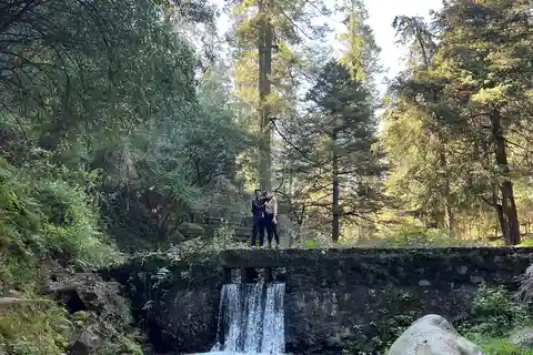 Mexico city: Hiking tour to Desierto de los leones