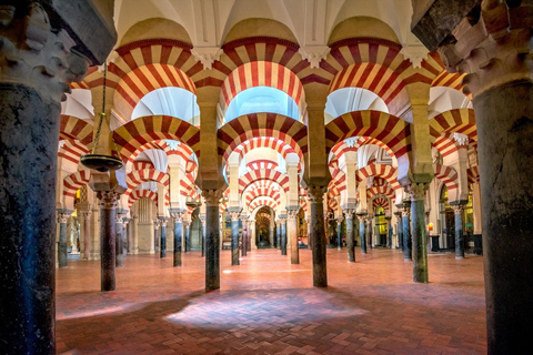 Vanuit Madrid: Het beste van Córdoba in één dag met de treinHet beste van Córdoba vanuit Madrid in één dag