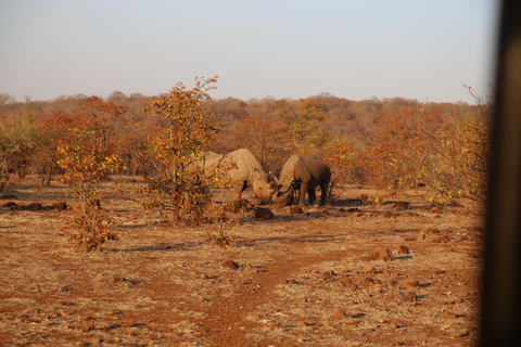 5-Day Explore Zimbabwe, Zambia and Botswana