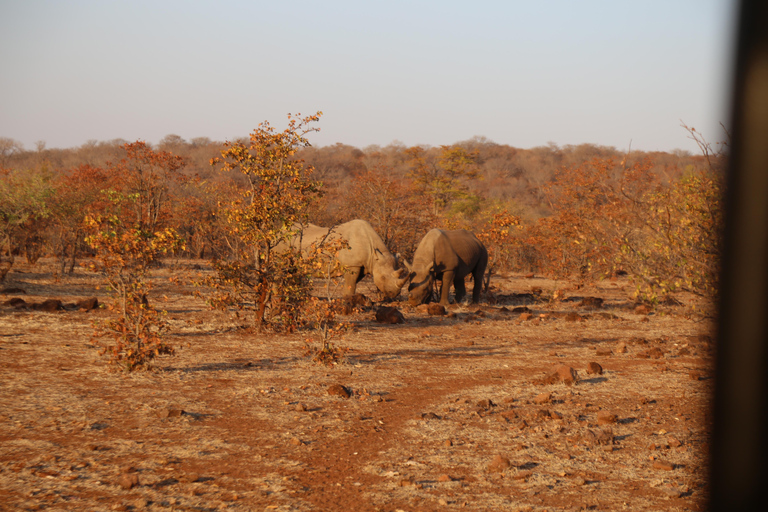 5-Day Explore Zimbabwe, Zambia and Botswana