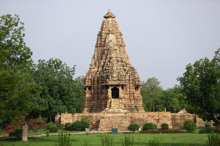 From Delhi: 4-Day Khajuraho Temples & Panna Tiger Safari