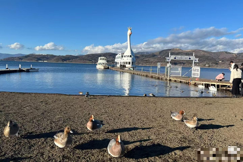 Shimizu, Shizuoka:Shore Excursion for Cruise Guests（Group）