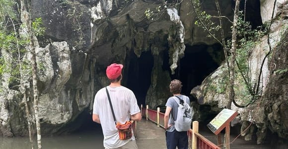 Langkawi Mangrove Night Safari Boat Tour