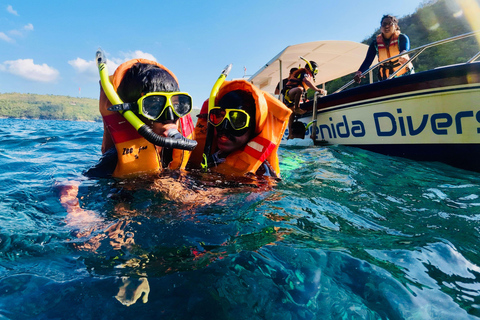 Nusa Penida: Gamat Bay & Manta Point Snorkeling Manta Point & Gamat Bay Public Snorkeling