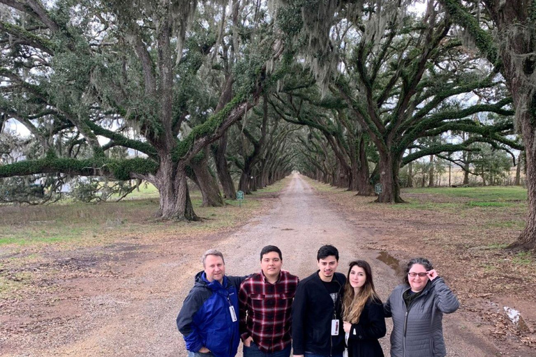 New Orleans: Oak Alley Plantation Tour and Transportation New Orleans: Oak Alley Plantation Tour