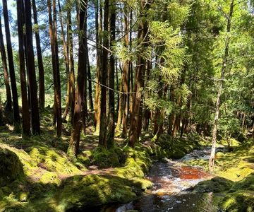 Mystery Tour of Terceira Island