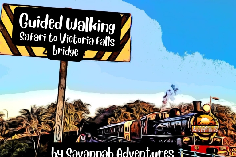 Chutes Victoria, safari des vautours, promenade dans le bush et visite du pont