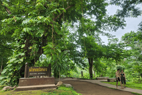 Sticky Waterfall & Bua Tong Cave With Private Transfer