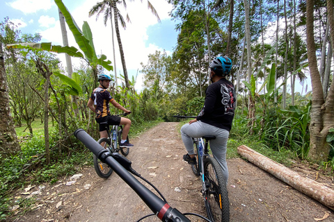 Ubud: Discesa in bicicletta con vulcano, terrazze di riso e pasto