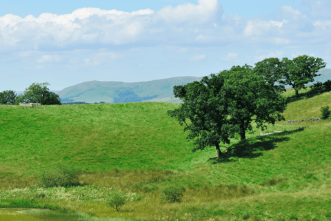 Recorrido en coche por Nidderdale con una APP