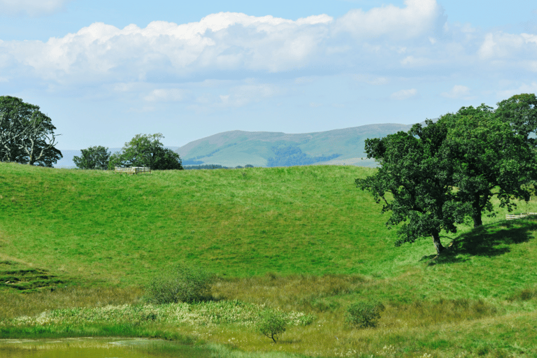 Recorrido en coche por Nidderdale con una APP