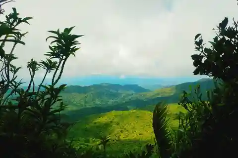 San Juan: 3 Tours 1 Day ! Old City, Rainforest & Beach Tour