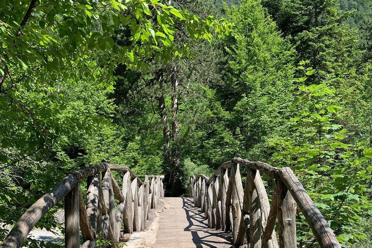 From Thessaloniki: Mount Olympus Private Hike