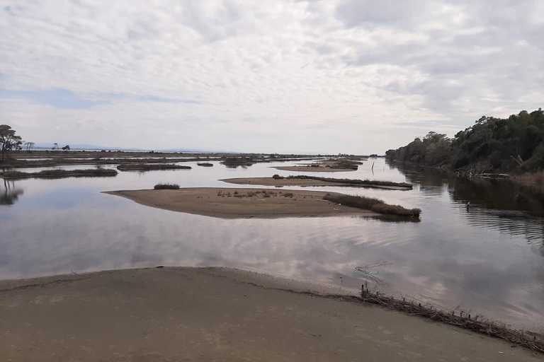 From Tirana/Durres/Golem: Karavasta Lagoon & Divjaka Tour Private Tour from Golem: Karavasta Lagoon & Divjaka Forest