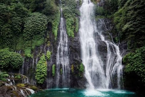 Jatiluwih UNESCO,Bratan Lake,Iconic Gate,Banyumala Waterfall North Part of Bali Privat Tour Without Entrance