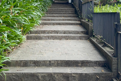 Tam Dao Private Day Tour With Misty Mountains, Cloud Views