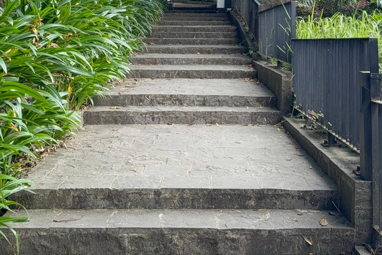 Tam Dao Private Day Tour With Misty Mountains, Cloud Views