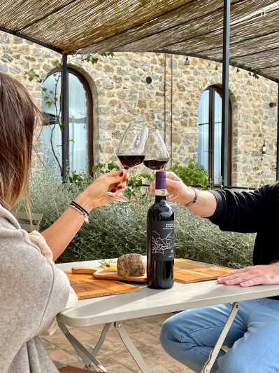 Degustação de vinhos na Toscana com acesso prioritário