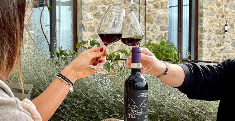 Degustação de vinhos na Toscana com acesso prioritário