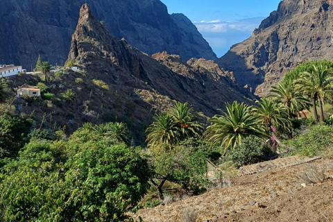Tenerife: Masca Village, Wine Tasting & Tapas Tour Tenerife: Masca Village, Wine Tasting & Tapas Tour