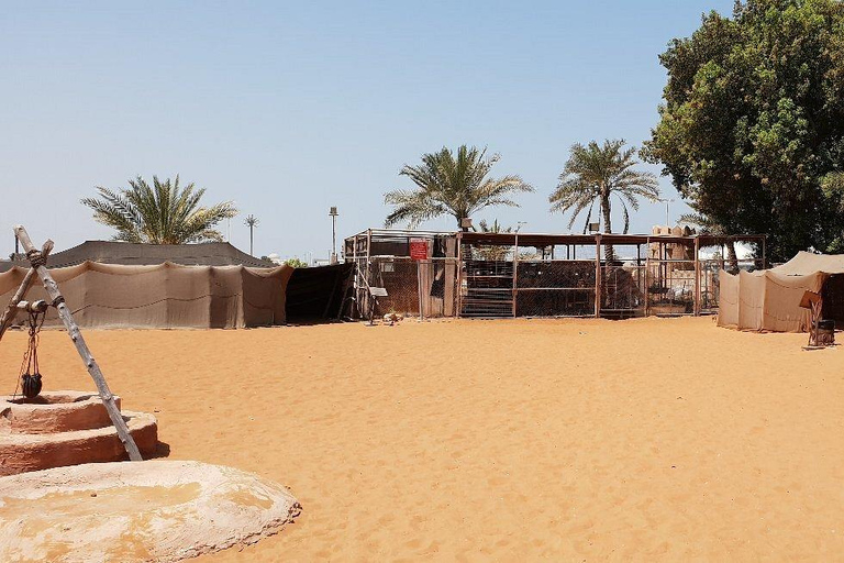 Abu Dhabi: Layover Sightseeing Tour with Airport Pickup