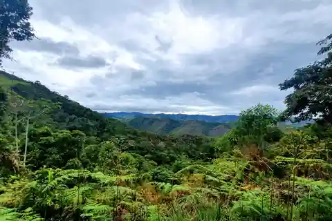CAMINHO DO OURO - Senderismo en la Mata Atlántica, Cascadas, Historias.