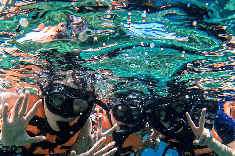 Full-Day Cham Island Snorkeling & Beach Escape from Hoi An