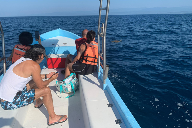 Puerto Escondido: Bootstour zu Delfinen und MeerestierenPrivate Tour