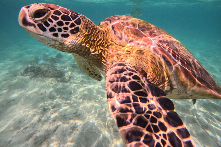 Hiriketiya: Coastal Boat Ride & Guided Snorkeling Tour