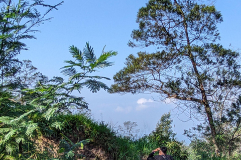 From Yogyakarta: Mount Merapi Trekking & Cave Tubing Tour