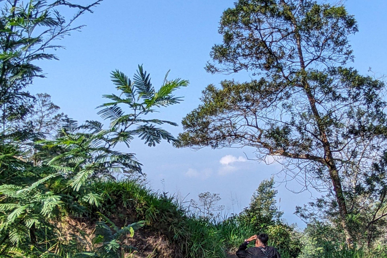 From Yogyakarta: Mount Merapi Trekking & Cave Tubing Tour