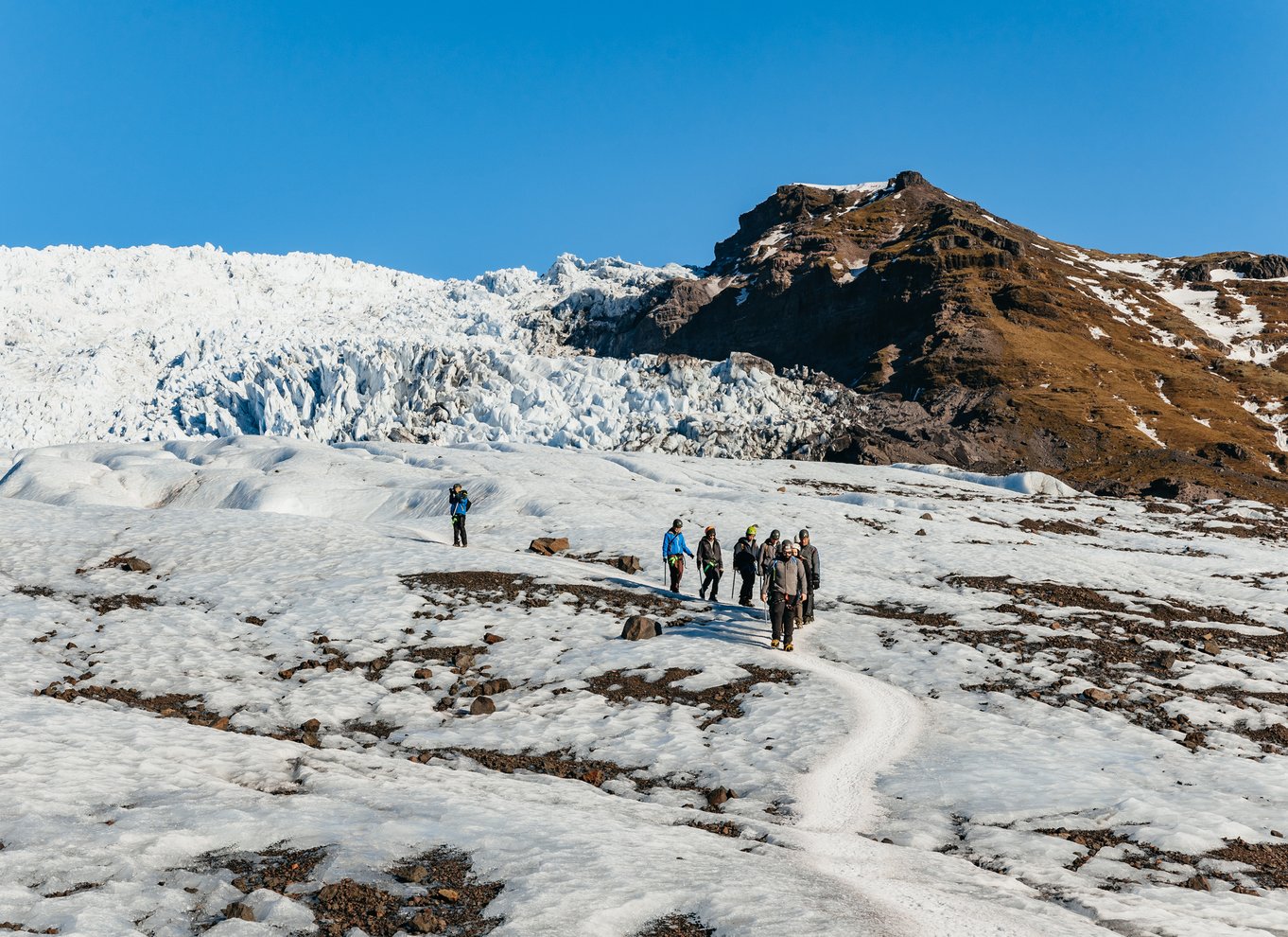 Skaftafell Nationalpark: Falljokull-gletsjeren - let vandretur