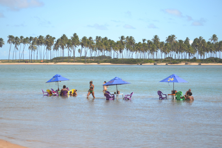 Salvador North Shore: Beach Hopping Tour to Praia do Forte