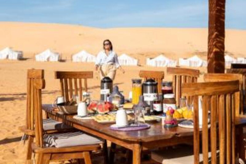 7-Day Senegal & Gambia Tour - Safari, Desert, Beach & Lions