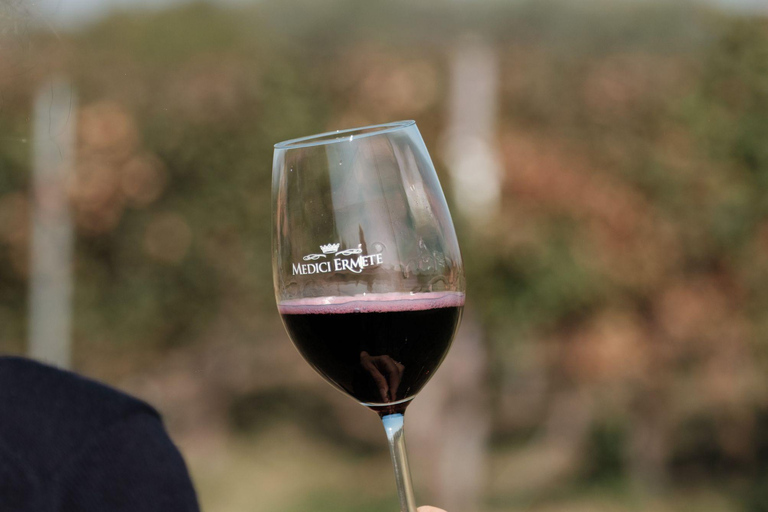 Balsamic Vinegar, Wine Tasting & Tour near Parma & Reggio Balsamic Vinegar & Wine Tasting in Reggio Emilia - Italiano