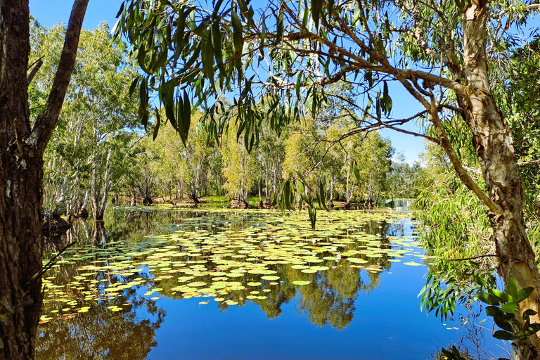 روسفيل: تجربة ثقافية أصلية مع الموكس
