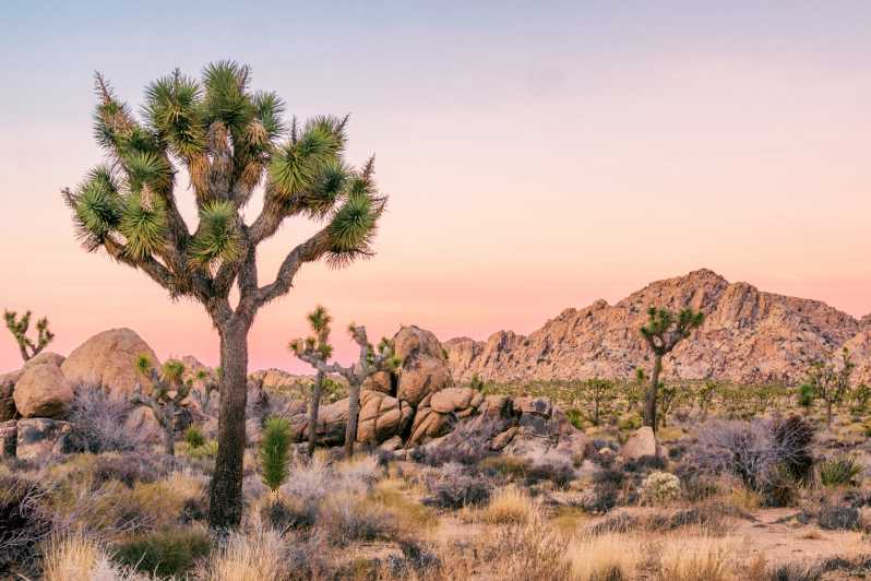 10+ Self-Guided Driving Tours from Las Vegas