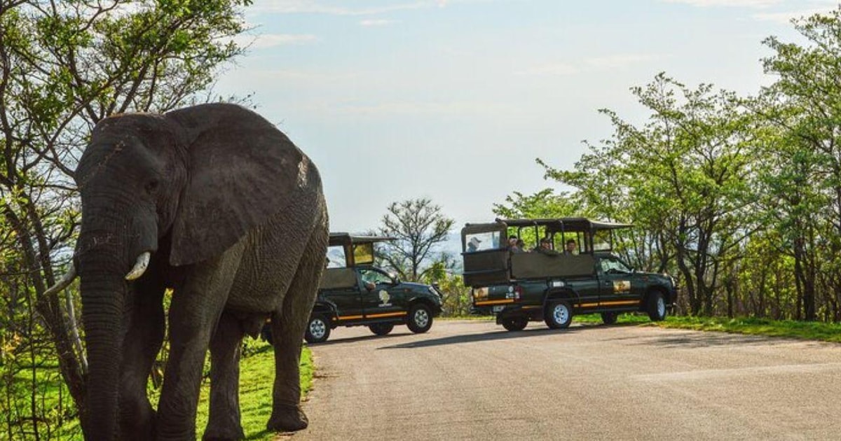 River Rafting Types Hazyview: Kruger National Park Full-Day Guided Safari - 2026 (Verified ...