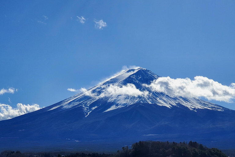 Viaje de 3 días a Tokio, el Monte Fuji y Hakone