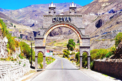 Desde Arequipa: Tour de 1 día al Cañón del Colca + Almuerzo Buffet