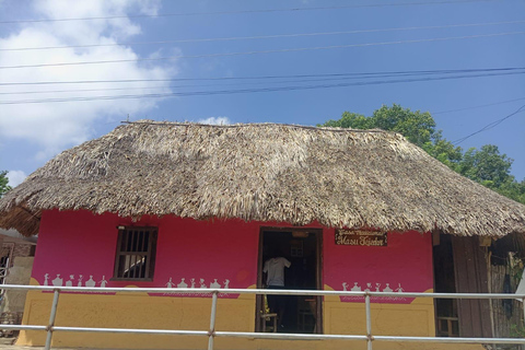 Ancestral Palenque from Cartagena: Historical Experience with Lunch Ancient Palenque from Cartagena: Historical Experience with Lunch