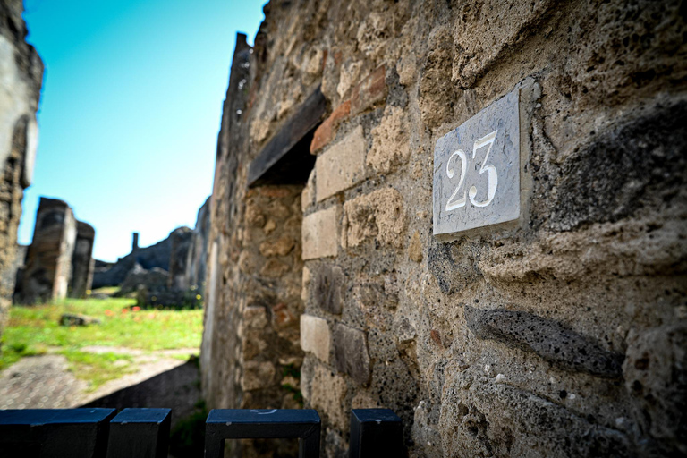 Pompeii: Group Guided Tour with an Expert Archaeologist Group Tour with Entrance Ticket Included