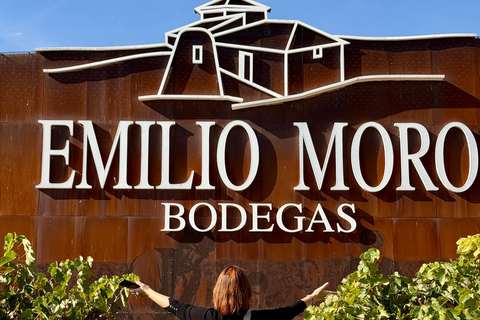 From Madrid to Castilla & León: Hidden Vineyards and Towns