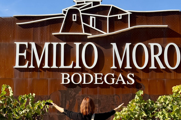 From Madrid to Castilla & León: Hidden Vineyards and Towns