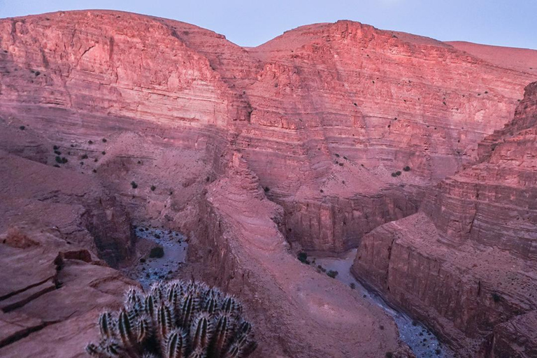 Agadir: Explore the Hidden Charms of Souss Massa in 4 Days Private Tour